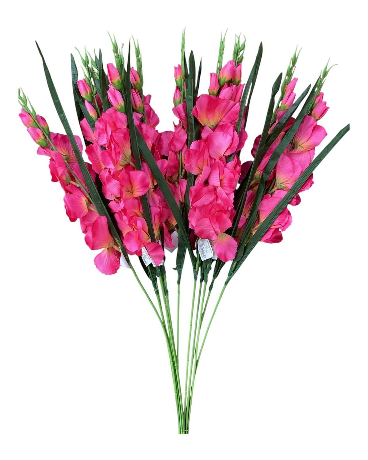 Gladiola Spray - FU
