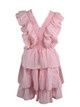 SIMPLY SOUTHERN DRESS LYR