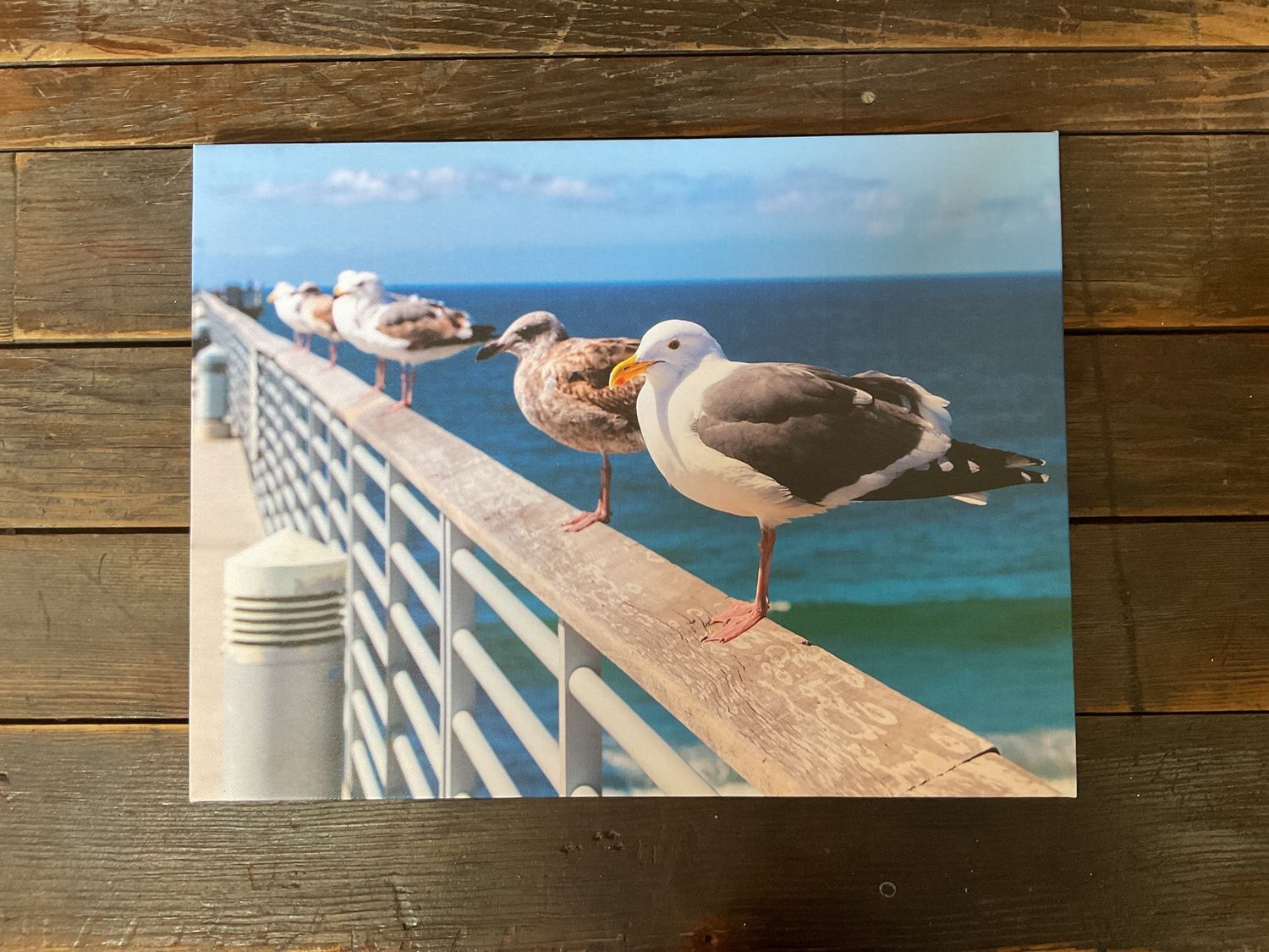 GULLS ON PIER PHOTO