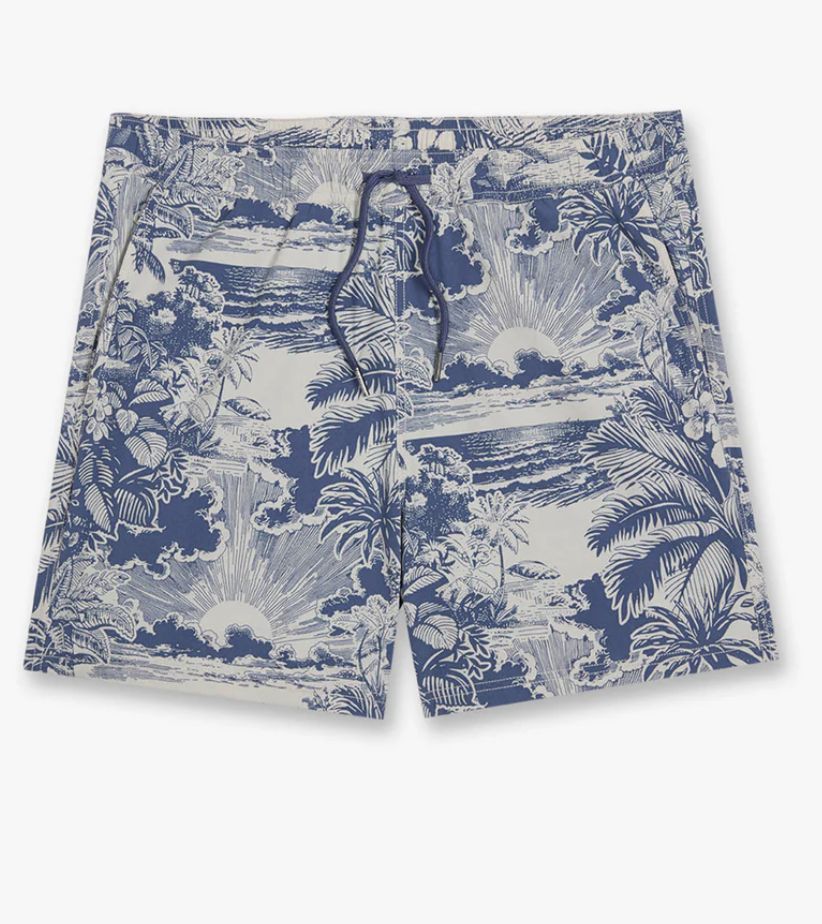 FAIR HARBOR BUNGALOW TRUNK SILVER PALMS