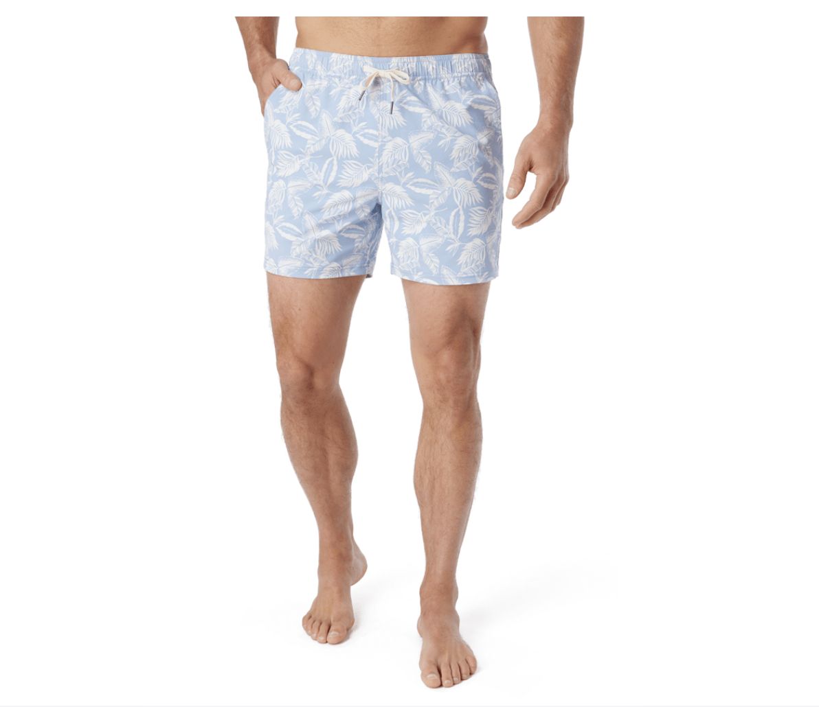 FAIR HARBOR BUNGALOW TRUNK SKY BLUE LEAVES