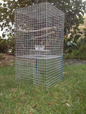 Bird Traps