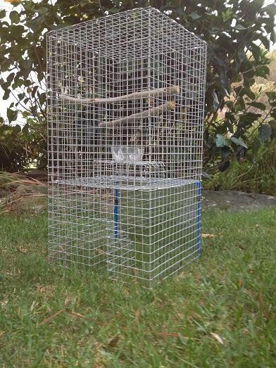 Tower Trap