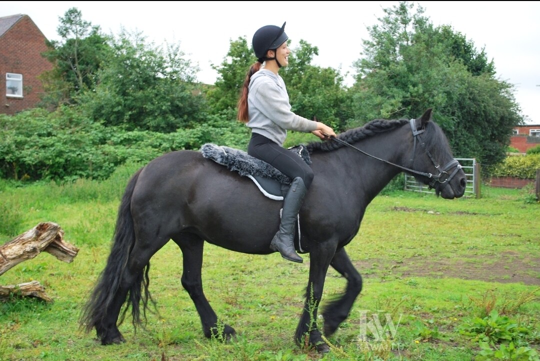 KAWALLU Bareback/Treeless Fur Pad