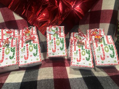 Christmas Mystery bags!! Limited Time! $10 Each Plus Shipping!