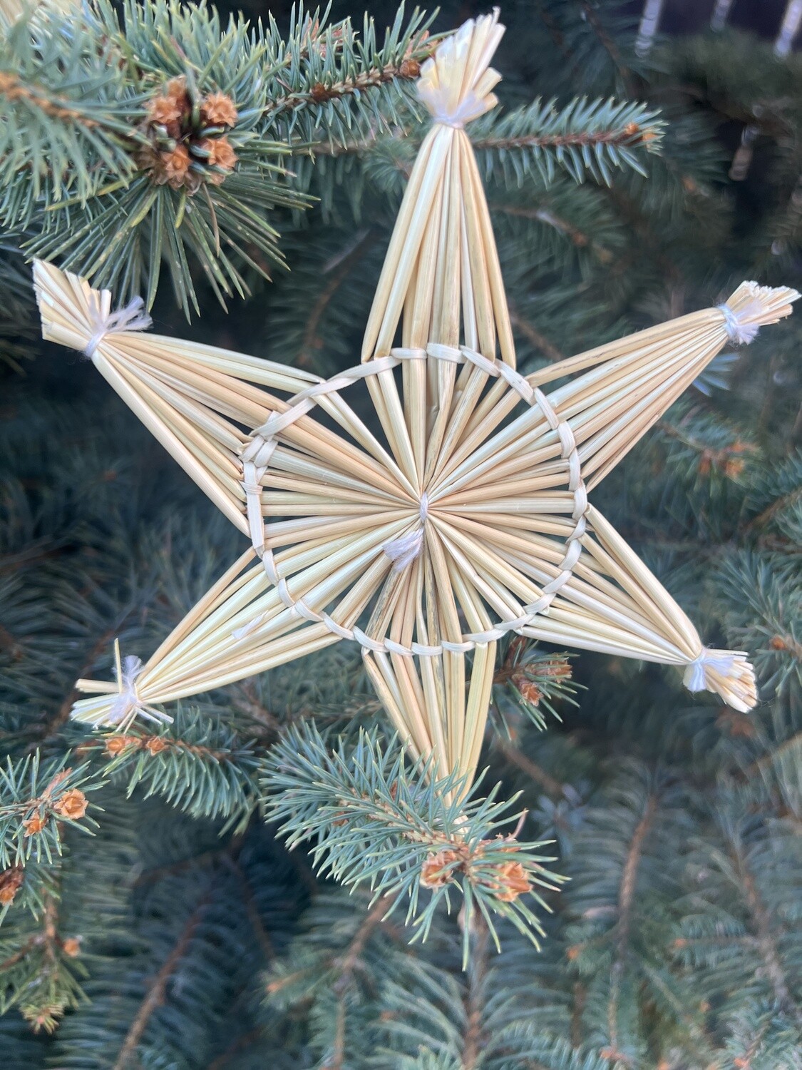 set de estrellas de trigo 6