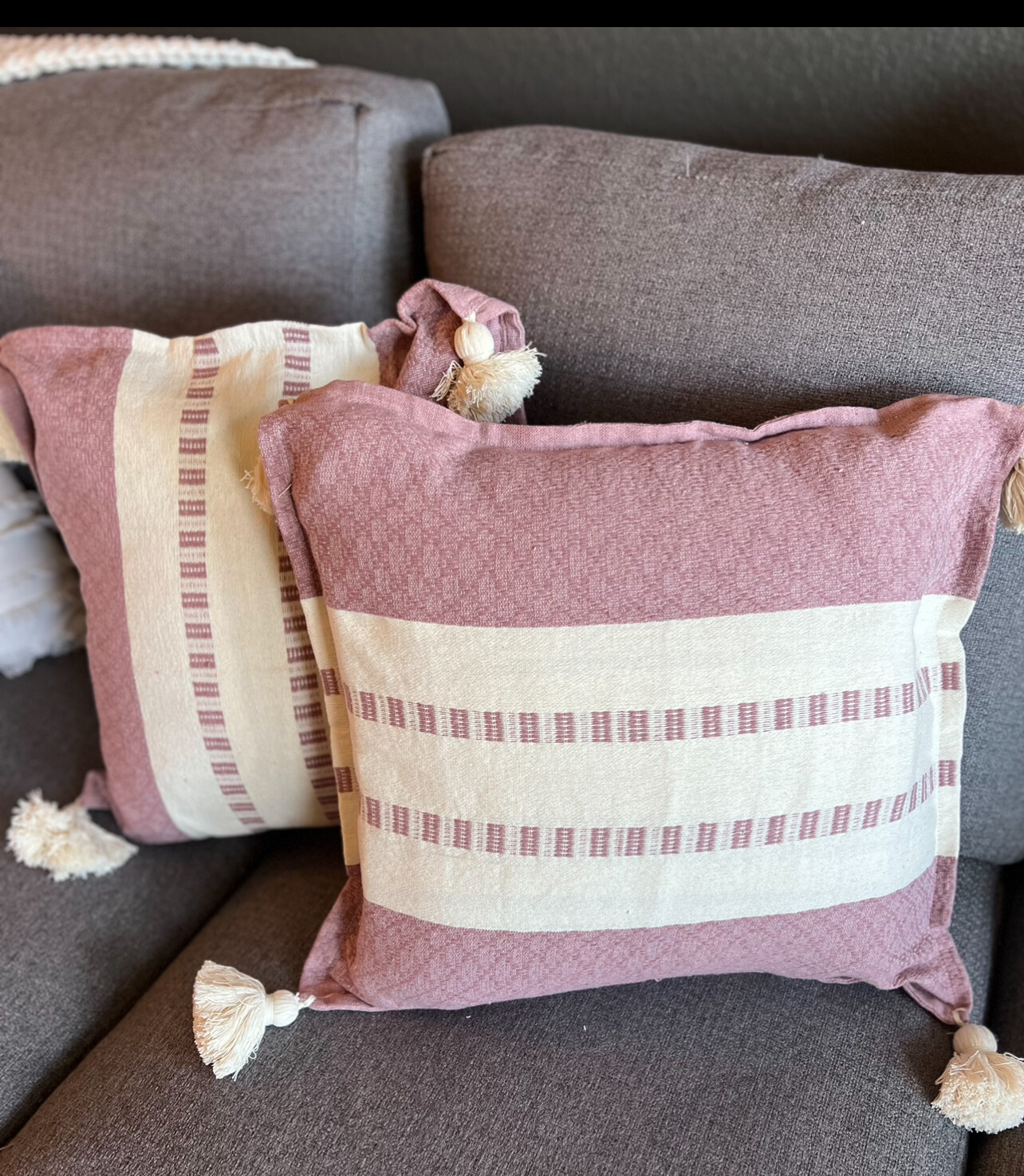 Cojines Palo de Rosa  set 2