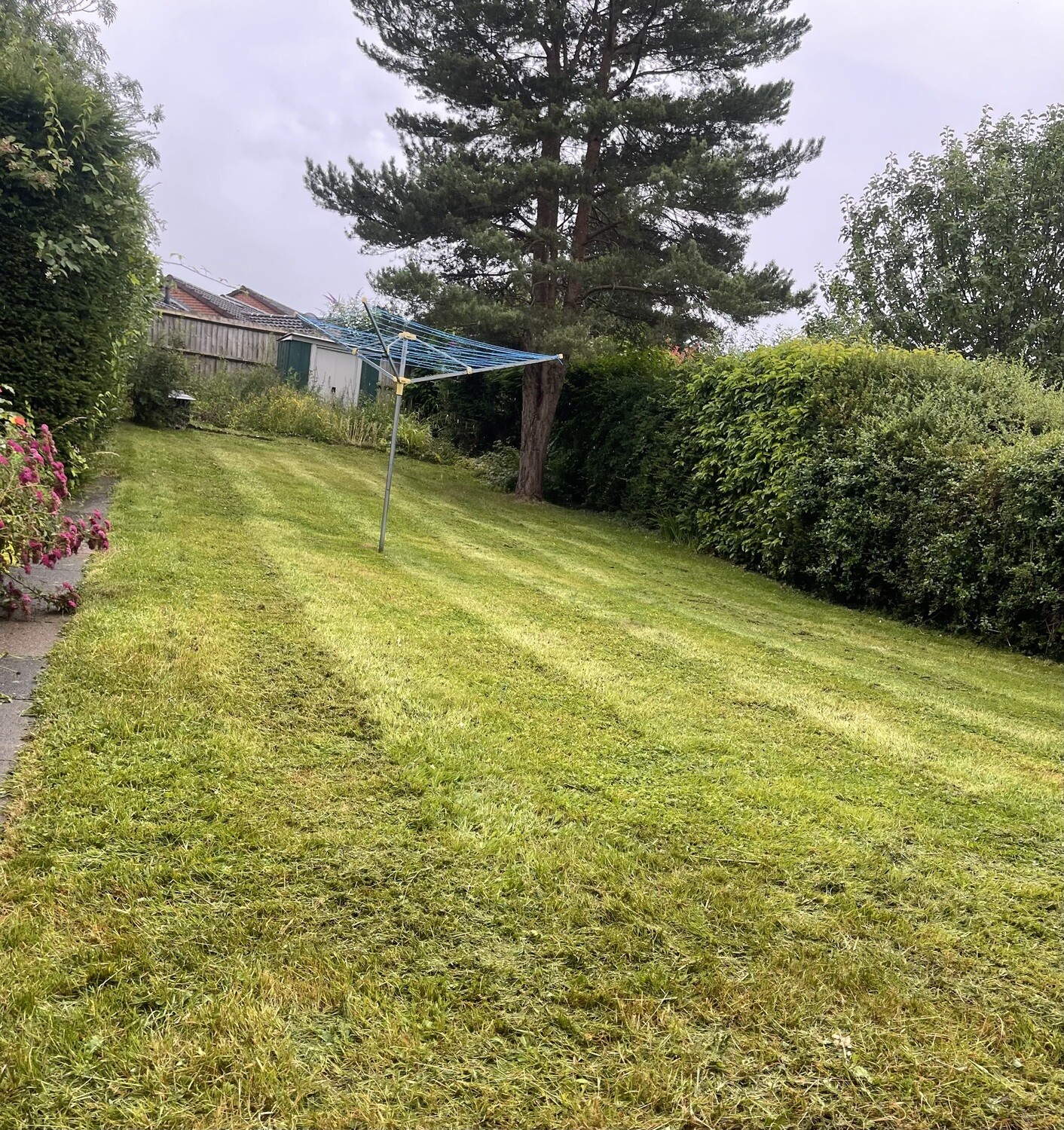Grass cut quote
