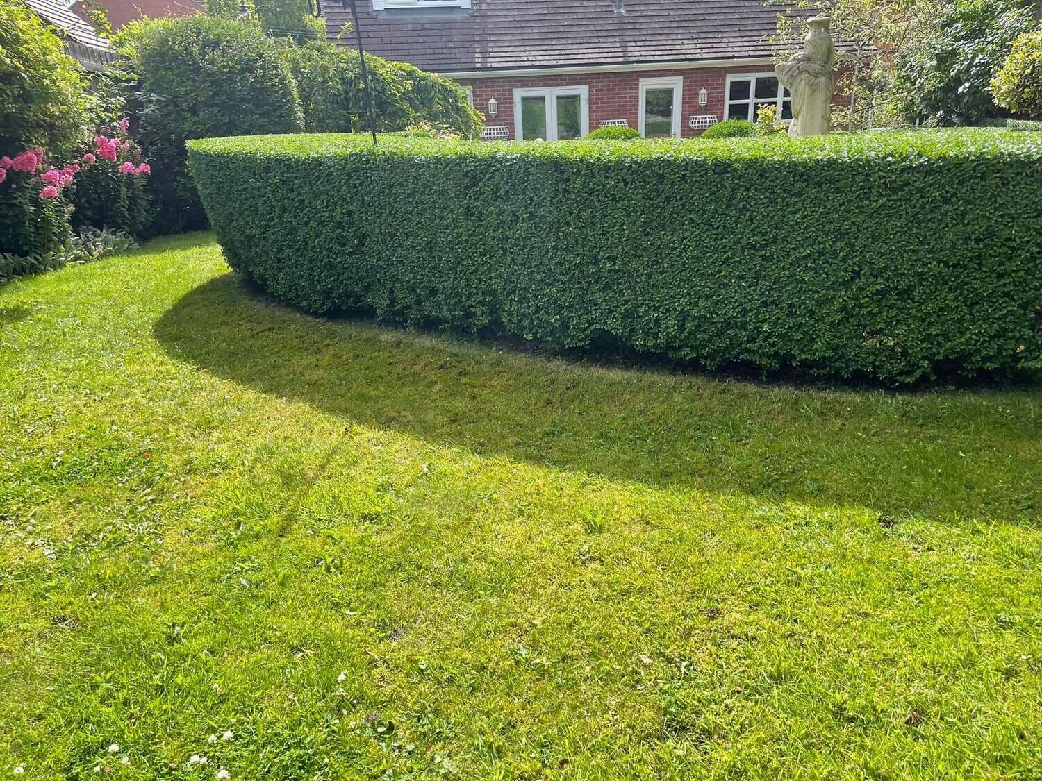Hedge cut quote