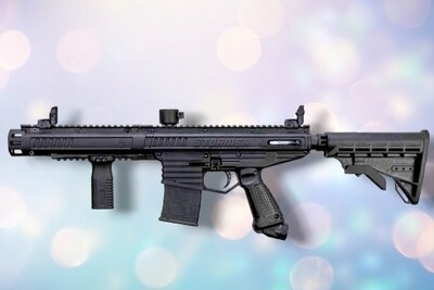 Tippman stormer elite