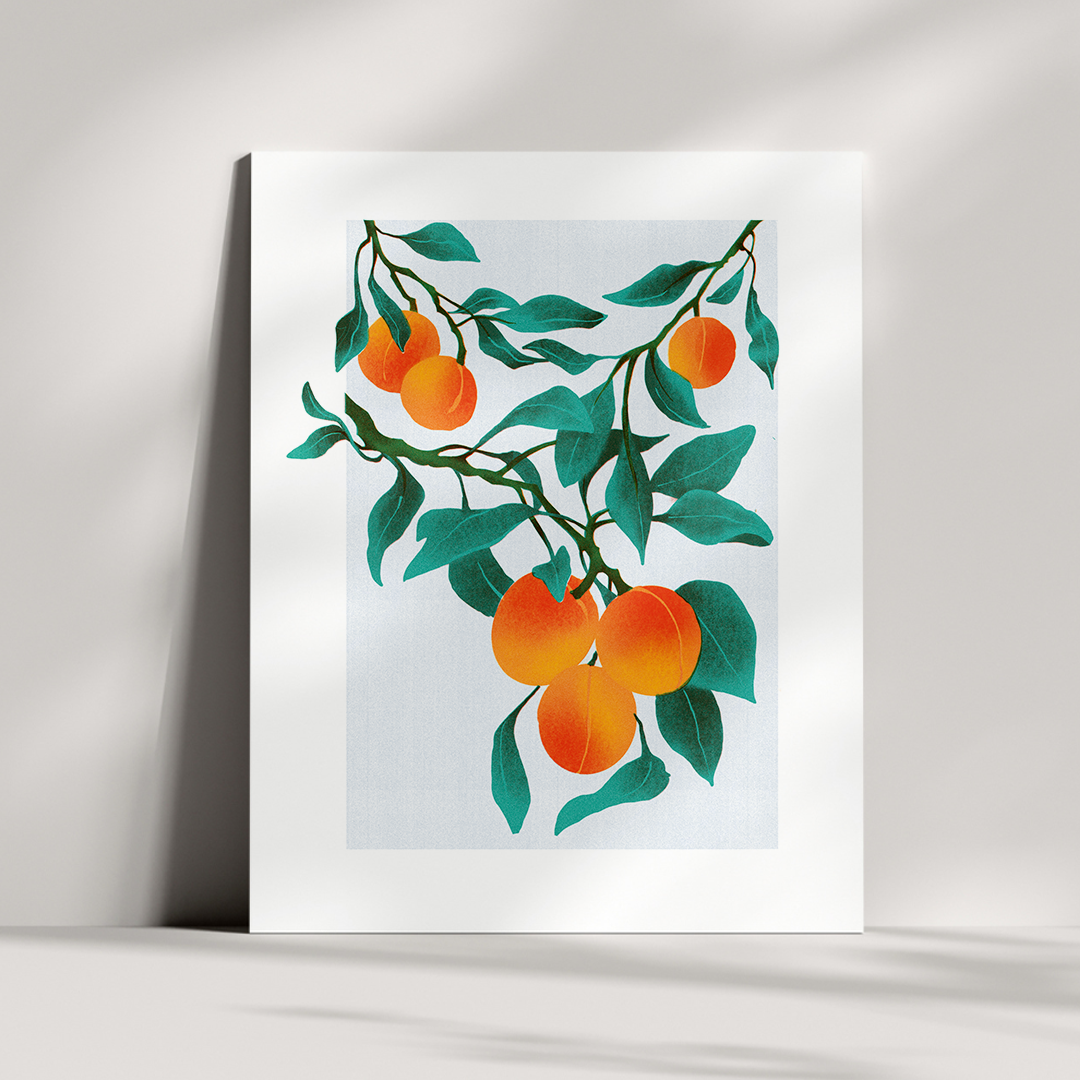 Hartford Raised - Summer Apricots