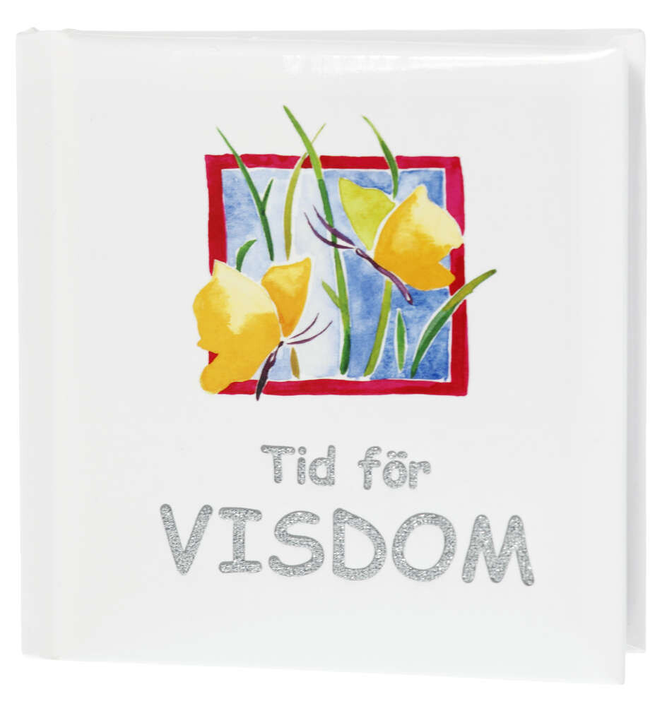 Tid för VISDOM (Blixtar)