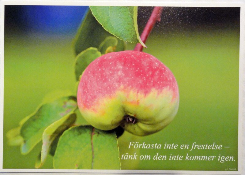 Fotovykort 112