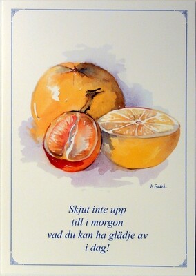 Akvarellvykort 751