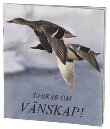 Tankar om VÄNSKAP! (Solstrålar)