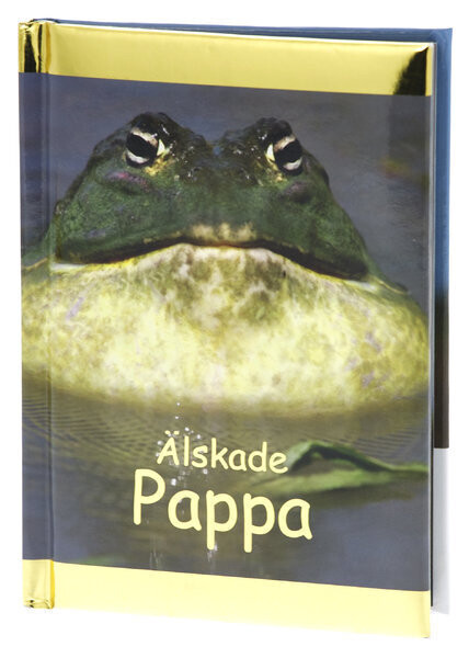 Älskade Pappa (Kompisar)