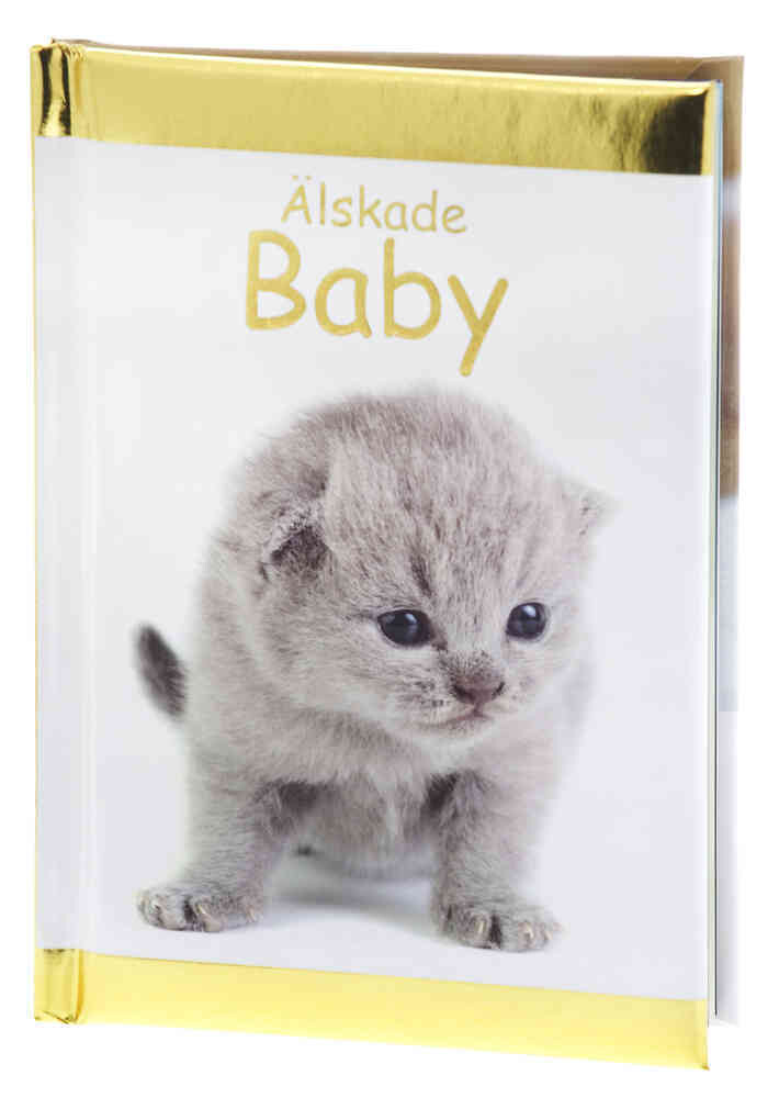 Älskade Baby (Kompisar)