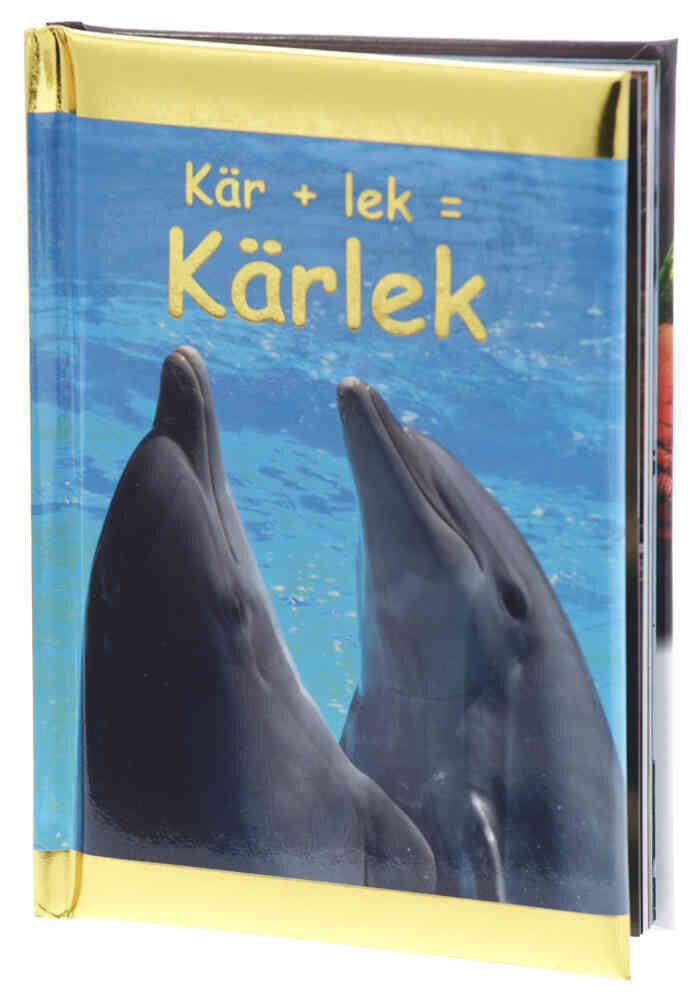 Kär + lek = Kärlek (Kompisar)