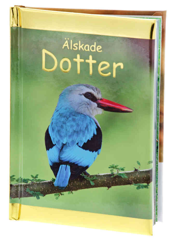 Älskade Dotter (Kompisar)