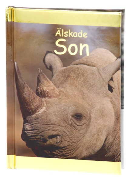 Älskade Son (Kompisar)
