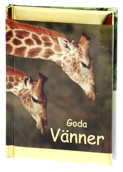 Goda Vänner (Kompisar)