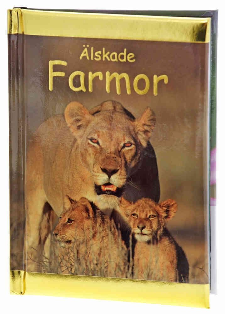 Älskade Farmor (Kompisar)