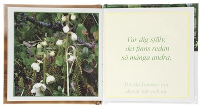 Gott Liv (Kristaller)