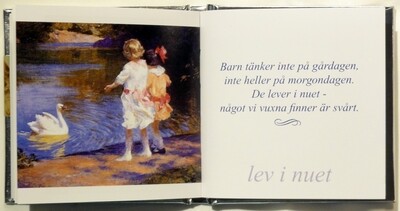 Tankar om barn (Rubiner)
