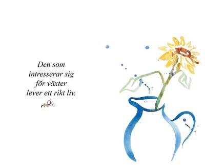 BOKOGRAM (Solstrålar)