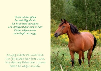 Älskade Hästar (Sötnosar)