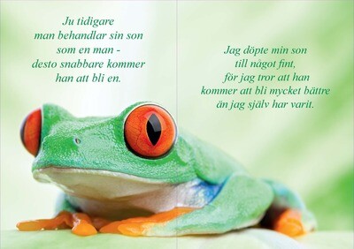 Älskade Son (Kompisar)