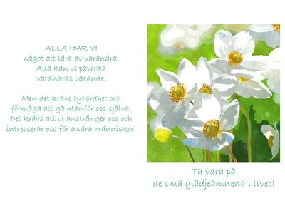Glädje (Platina)