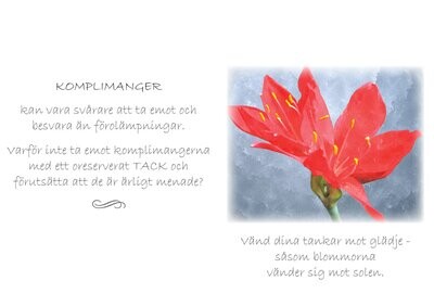 Ha en bra dag (Platina)