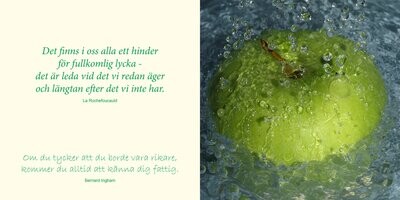 Tid för Visdom (Smaragder)