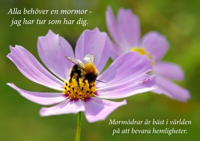 Älskade Mormor (Kompisar)
