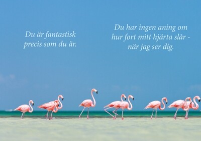 Kär + lek = Kärlek (Kompisar)