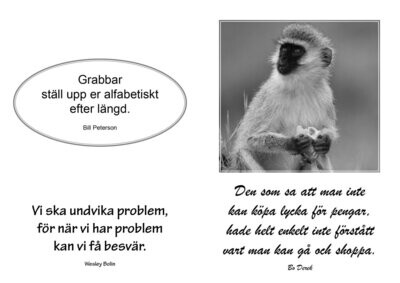 DUMMISAR dumma citat (Diamanter)