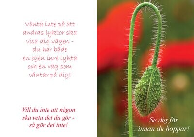 Du är bäst (Sötnosar)