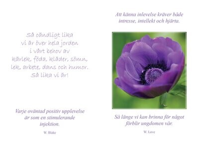 En blomma till dig (Sötnosar)