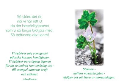 Njut av livet (Sötnosar)
