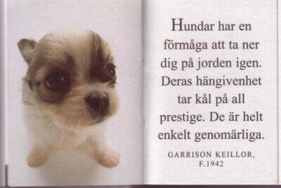 Hundboken (Juveler)