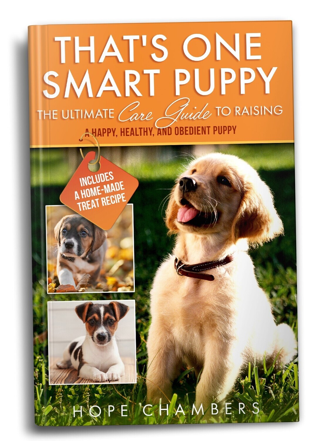 That&#39;s One Smart Puppy: The Ultimate Care Guide to Raising a Happy, Healthy, and Obedient Puppy