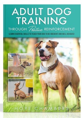 Adult Dog Training: Through Positive Reinforcement