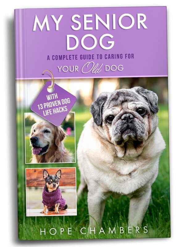 My Senior Dog: A Complete Guide to Caring for Your Old Dog