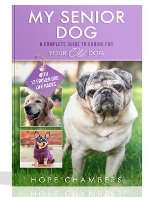 My Senior Dog: A Complete Guide to Caring for Your Old Dog