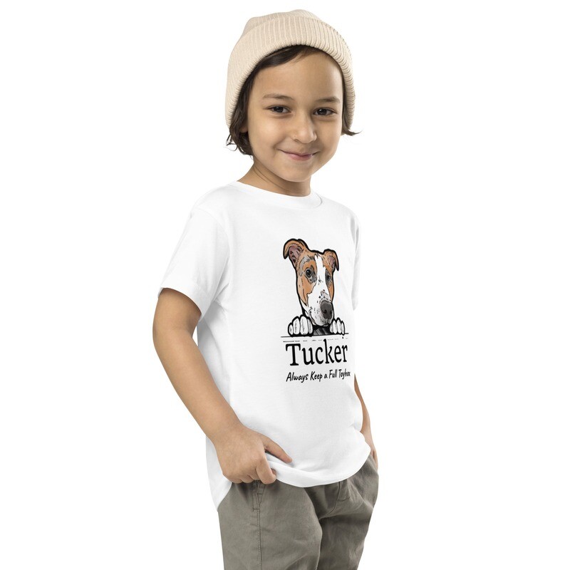 Tucker  &quot;Always Keep a Full Toybox&quot; Pastel Tee - Toddler