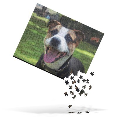 Tucker Toys
