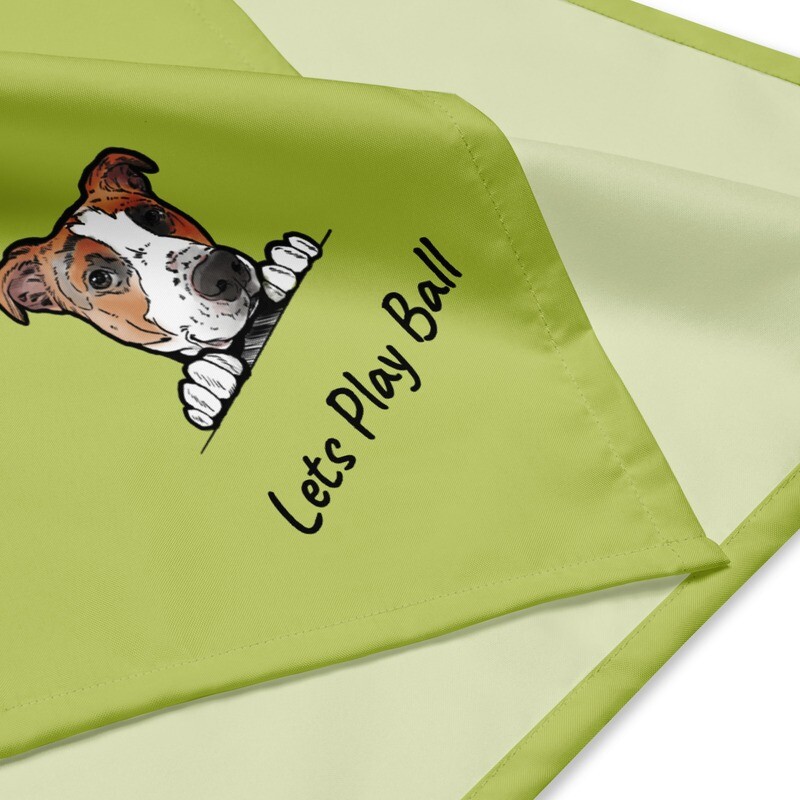 Tucker Print Bandana