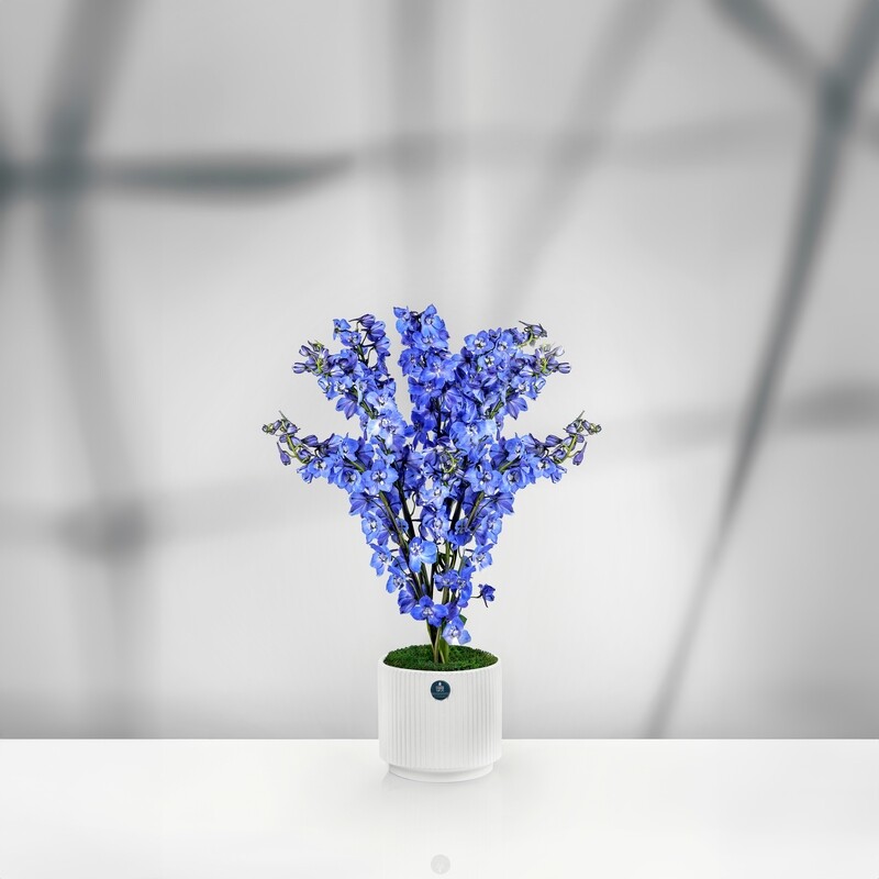 Delicate Navy Delphiniums in Ceramic Vase