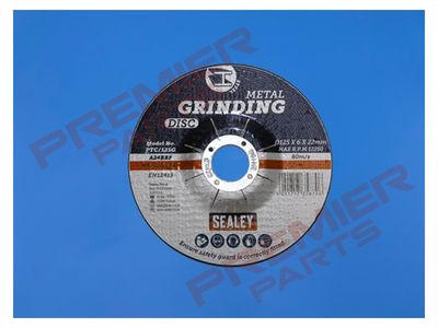 Grinding Disc Ø125 x 6mm Ø22mm Bore
